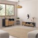 Mueble TV Denis 1 puerta y 2 cajones Negro