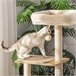 Árbol para Gatos Aglomerado de Madera, Felpa, Sisal PawHut Árbol para Gatos Aglomerado de Madera, Felpa, Sisal PawHut Beige