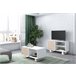 Conjunto de muebles  1Mueble TV100, 1 Mesa de Centro Blanco