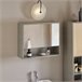 Armario de Pared con Espejo con 2 Puertas BZR134-NG SoBuy Gris