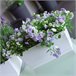 2x Jardinera de plastico Coubi Case P Grafito