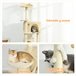 Árbol para Gatos Aglomerado de Madera, Felpa PawHut Árbol para Gatos Aglomerado de Madera, Felpa PawHut Crudo