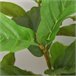 Plantas Artificiales PE, PEVA HOMCOM, hogar - decoración Verde
