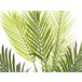 Beliani Planta artificial ARECA PALM Verde
