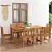 Conjunto de comedor de jardín 9 piezas madera maciza de teca Conjunto de comedor de jardín 9 piezas madera maciza de teca Marron