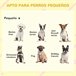 Casa para Perros Madera de Abeto PawHut Naranja