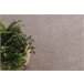 Alfombra EXCELLENCE 407 llanura 150x150 Rosa