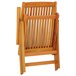 2 Sillas de jardín plegables de madera maciza de eucalipto Marron
