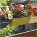 3 Jardineras L 22 Cm Con Ganchos Gris