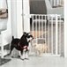 Barrera de Seguridad de Perros Acero y Plástico PawHut Blanco