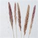 Ramillete floral PAMPA natural 85cm marca BOLTZE  Natural