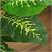 Planta Artificial PEVA, PE, Acero, Cemento HOMCOM Verde