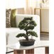 Beliani Planta artificial Bonsái Beliani Planta artificial Bonsái Verde