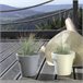 3x Maceta de plastico Lofly Blanco