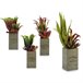 Planta Decorativa Flowers Garden Marron