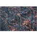 Alfombra lavable ANDRE 1013 Ornamento vintage 160x220 Negro