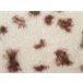 Beliani Cojín decorativo KASRA 45x45 Beige