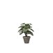 Planta artificial PEPEROMIA marca MYCA Verde
