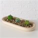 Planta artificial SUKULA marca BOLTZE Multicolor