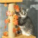 Árbol para Gatos Aglomerado de Madera Naranja