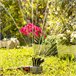 Aspersor de Riego 360º para Jardín Multicolor
