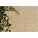 Alfombra EXCELLENCE círculo 511 llanura 100x100 Beige
