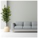 Acomoda Textil – Planta Artificial con Macetero (Ficus) Verde