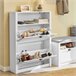 Zapatero con 2 Puertas Abatibles FSR87-W SoBuy Blanco