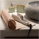 Plancha de pelo RitualCare 2000 Summer Waves Cecotec Rojo