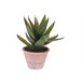 Aloe vera artificial en maceta terracota Multicolor