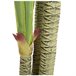 Acomoda Textil – Planta Artificial con Macetero. (Dracena) Verde