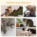 Árbol Rascador para Gatos Marron
