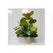 Planta artificial ASHLEY con maceta  Multicolor
