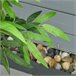 Bambú Artificial PE HOMCOM, hogar - decoración hogareña Verde