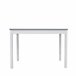 Conjunto de mesa con 4 sillas VERSALLES Blanco/ Gris
