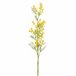 Planta floral MIMOSA 79,5cm marca CONFORAMA Amarillo