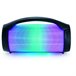 Altavoz Bluetooth con Micrófono Karaoke PARTYBTPRO Negro