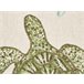 Beliani Cojín decorativo ALGAE Beige