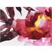 Beliani Cojín de jardín LANROSSO 40x60 Blanco