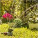 Aspersor de Riego 360º para Jardín Multicolor