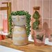 Planta BRISEIDA marca EVERLANDS Verde