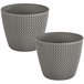 2x Maceta redonda 11,5L Prosperplast Splofy Gris