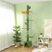 Árbol para Gatos Aglomerado de Madera, Poliéster PawHut Árbol para Gatos Aglomerado de Madera, Poliéster PawHut Verde