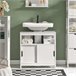 Mueble para Debajo del Lavabo FRG128-II-W SoBuy Blanco