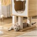 Árbol para Gatos Aglomerado de Madera, Felpa, Sisal PawHut Árbol para Gatos Aglomerado de Madera, Felpa, Sisal PawHut Beige