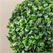 Planta Artificial PEVA, PE, Cemento, PP HOMCOM Verde