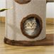 Árbol Rascador para Gatos Marron