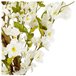 Acomoda Textil – Planta Artificial con Macetero. (Almendro) Blanco