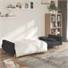 Sofá cama de 2 plazas con dos almohadas tela Gris Oscuro