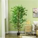 Planta Artificial PEVA HOMCOM, hogar - decoración Verde